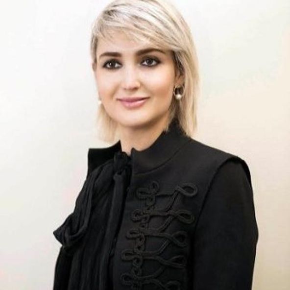 Connected Investor Farnaz Victoria Mehran