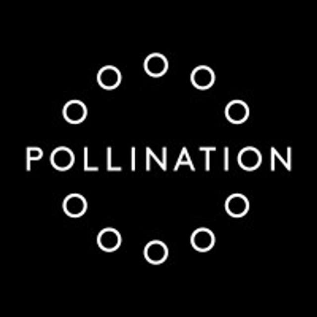 Similar Investor Pollination