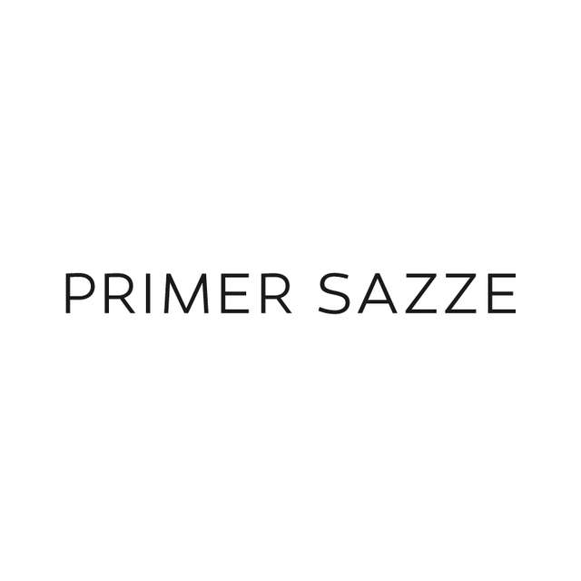 Similar Investor Primer Sazze Partners