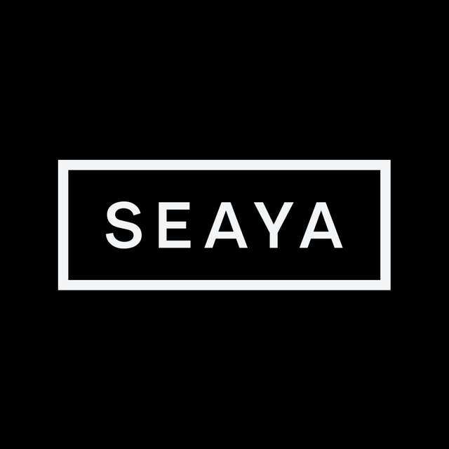 Similar Investor Seaya