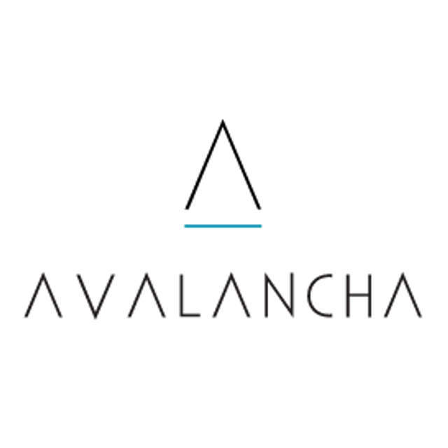 Similar Investor Avalancha Ventures