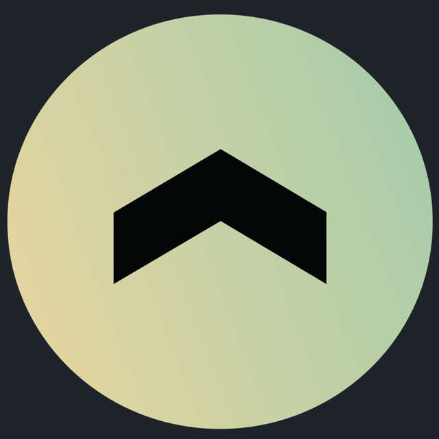 Connected Investor Petri