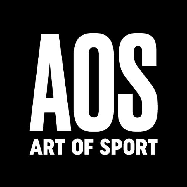 Similar Investor Art of Sport