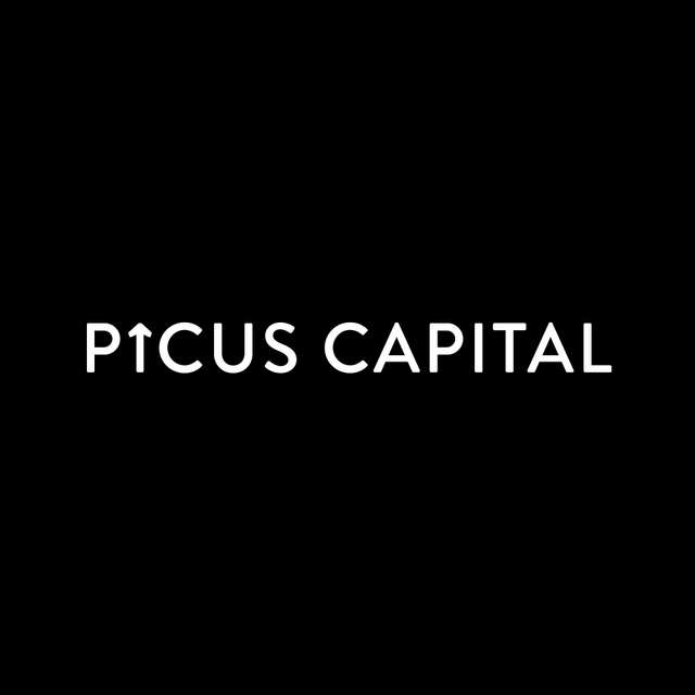 Similar Investor Picus Capital
