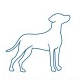 Logo Firm Hambleden Capital