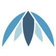 Palm Ventures