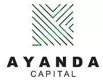 Similar Investor Ayanda Capital
