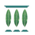 Logo Firm Manzanita Capital