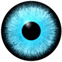 Similar Investor 5 Eyes Ventures