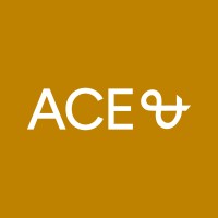 Similar Investor ACE & Company