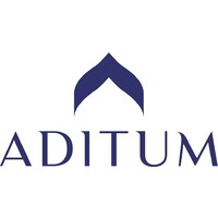 Similar Investor Aditum