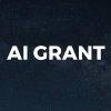 Similar Investor AI Grant