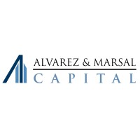 Similar Investor Alvarez & Marsal Capital