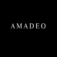 Similar Investor Amadeo Global