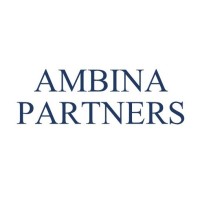 Similar Investor Ambina Partners