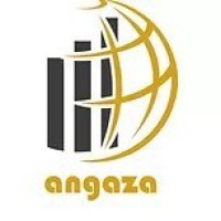 Similar Investor Angaza Capital