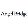 Similar Investor Angel Bridge