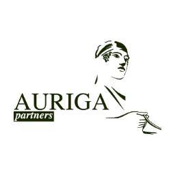 Similar Investor Auriga Partners