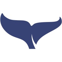 Similar Investor Baleen Capital