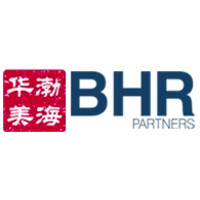 Similar Investor BHR Partners
