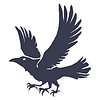 Similar Investor BlackCrow Capital
