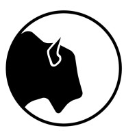 Similar Investor Blackhorn Ventures