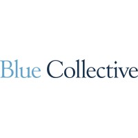 Similar Investor Blue Collective