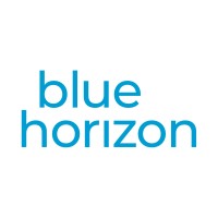 Similar Investor Blue Horizon Corporation