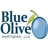 Similar Investor Blue Olive Partners