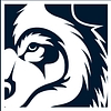 Similar Investor Blue Wolf Capital Partners