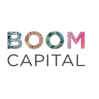 Similar Investor Boom Capital Ventures
