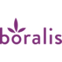Similar Investor Boralis BV