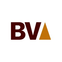 Similar Investor Bronze Valley