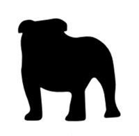 Similar Investor Bulldog Innovation Group LLC