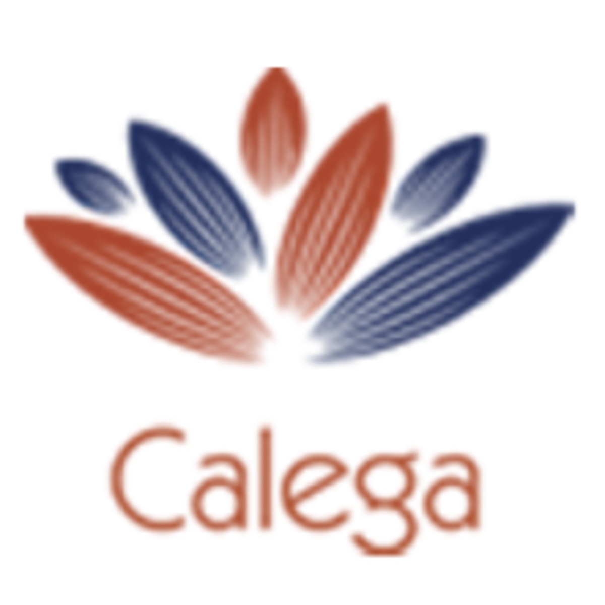 Similar Investor Calega