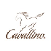 Similar Investor Cavallino Capital