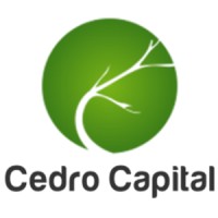 Similar Investor Cedro Capital
