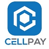 Similar Investor CellPay Corporation