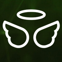 Similar Investor Channel Angels