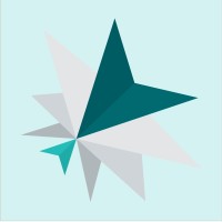 Similar Investor Collider