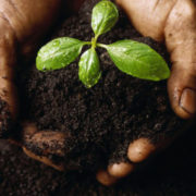 Similar Investor Combating Poverty and Climate Change Foundation