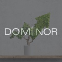 Similar Investor Dominor Investment