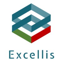 Similar Investor Excellis Holding