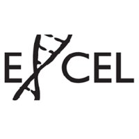 Similar Investor Excel Venture Management
