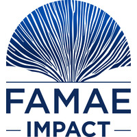 Similar Investor Famae Impact