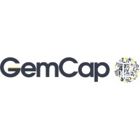 Similar Investor Gemini Investments