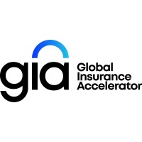 Similar Investor Global Insurance Accelerator