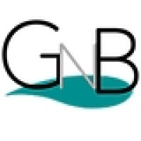 Similar Investor GNB Venture