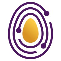 Similar Investor Golden Egg Check Capital
