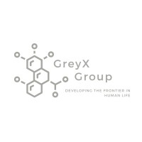 Similar Investor Grey X Group